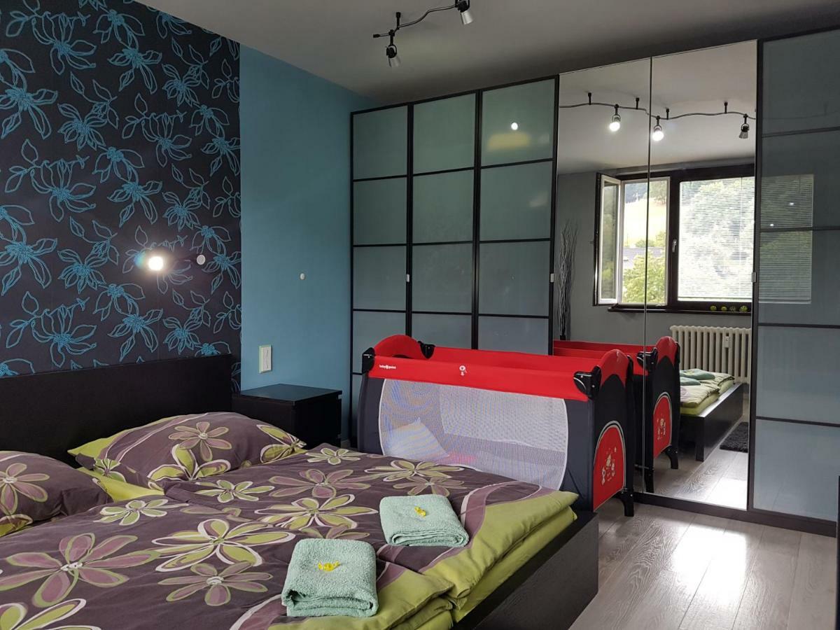 Apartman 77 Loučná nad Desnou Εξωτερικό φωτογραφία
